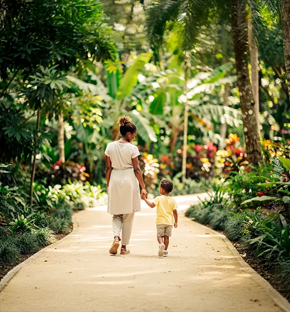 ecoquartier-bon-air-martinique copie